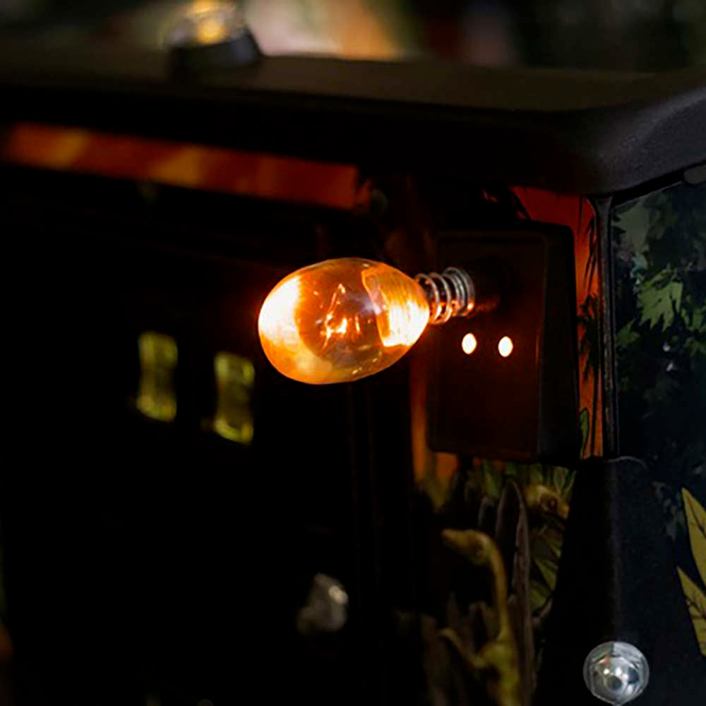 Jurassic Park Accessories