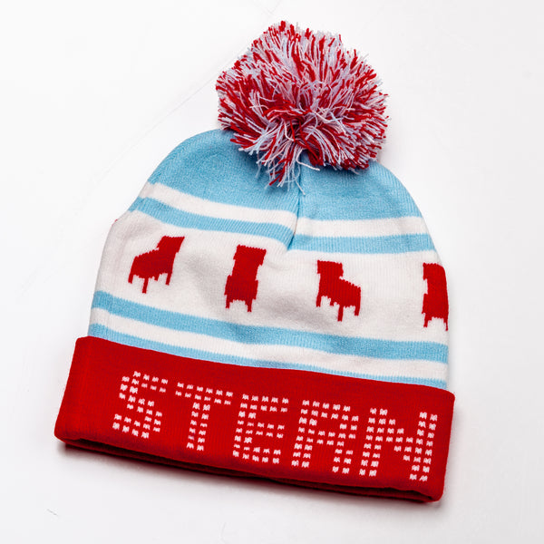 Stern Chicago Flag Beanie – Stern Pinball